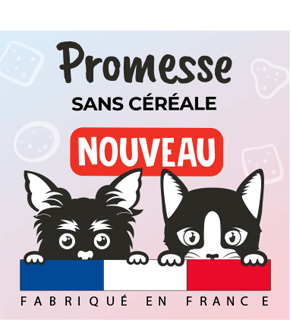 Croquettes Pour Chat Promesse Kitten Promesse Petfood Croquettes Pour Chat Promesse Kitten Promesse Petfood